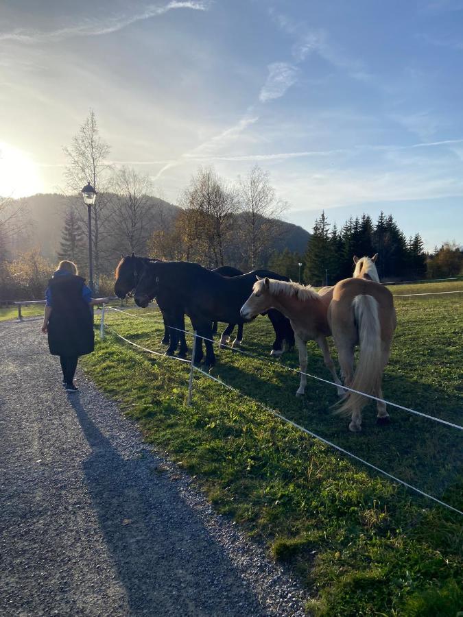 FeWo Sonnenschein Weißbriach Exterior foto